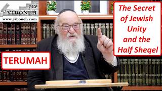 Rav Yitzchak Breitowitz: The Secret of Jewish Unity and the Half Sheqel
