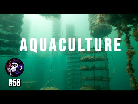 Feeding The Future : The Ocean Farmers | Shawn Robinson | Escaped Sapiens #56