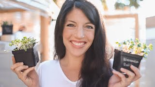Live Chat From The Mobile Greenhouse (take 2)
