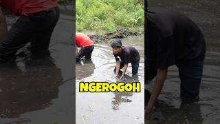 Download lagu BANYAK DAPAT GABUS BABON! NGEROGOH DI RAWA YANG MULAI KERING mp3 Download lagu BANYAK DAPAT GABUS BABON! NGEROGOH DI RAWA YANG MULAI KERING mp3