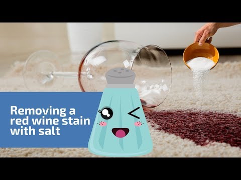 download lagu mp3 mp4 How To Get Red Wine Out Of Carpet With Salt, download lagu How To Get Red Wine Out Of Carpet With Salt gratis, unduh video klip How To Get Red Wine Out Of Carpet With Salt