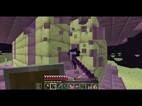 Minecraft 1.21.1: End City & Spooky Caves