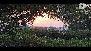 صورة الدولة الأموية ( سنة 66- ب - )