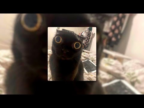 CryJaxx, Ndreko & Gentto'H - Chlorine // slowed + reverb