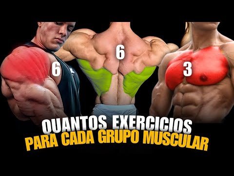 THE IDEAL NUMBER OF EXERCISES FOR EACH MUSCLE GROUP!