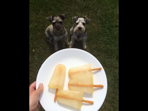Pupsicle Dog Treats