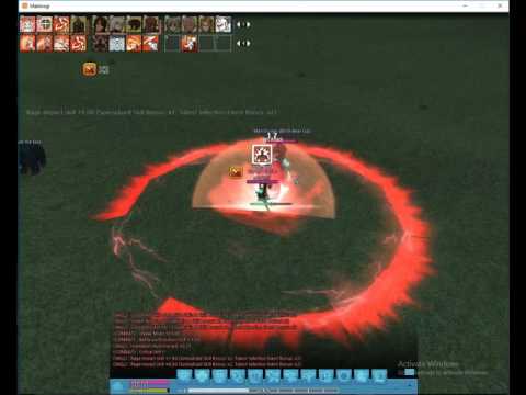 insanity flyff game play