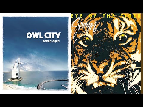 Owl City - Fireflies But It's Eye of the Tiger By Survivor