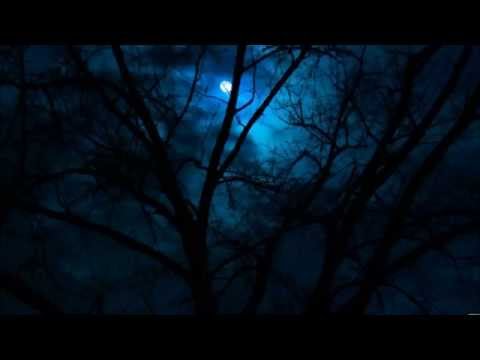 Sacred Nights (Darkpsy/Forest Psychedelic Trance Mix)