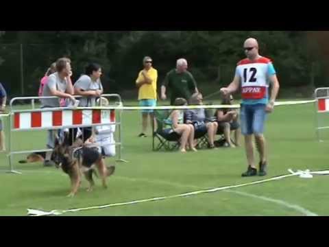 FARRA Suché Lazce  KVV 2015