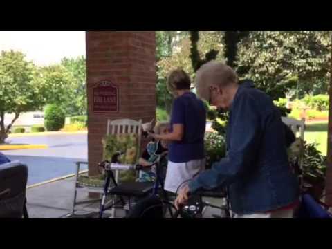 Ice Cream Truck at Elm Park