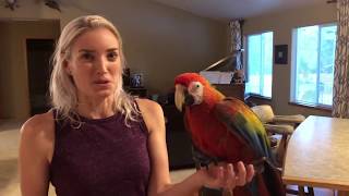 Morgan CRASHES | Building Indoor Flight Skills