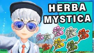 How to get ALL Herba Mystica types ► Pokemon Scarlet & Violet