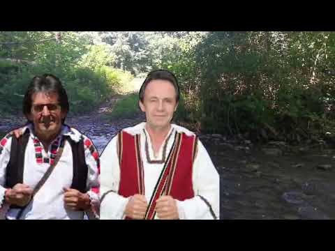Railić i Nemanja - Hladna vodo 