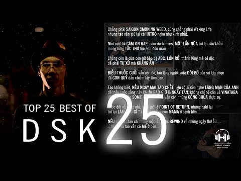 Top 25 BEST of DSK 2017 [Video Lyrics HQ]