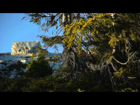 UNESCO Biosphäre Entlebuch