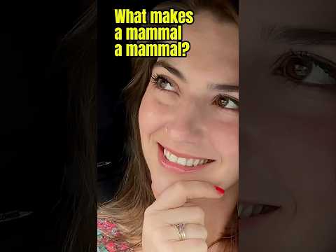What makes a mammal, a mammal? #scicomm #mammals
