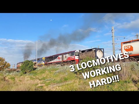 REVED UP!!! 3 LOCOMOTIVES ACCELERATING HARD ON AUSTRALIAN FREIGHT TRAIN!!!
