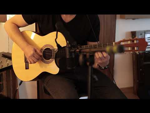 $80 Cheap acoustic-electric classical guitar / sound demo