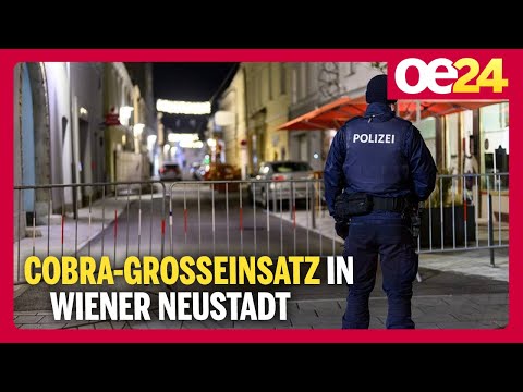 Cobra-Einsatz in Wr. Neustadt: Hohe Stromrechnung führte zu Drogen-Bunker: