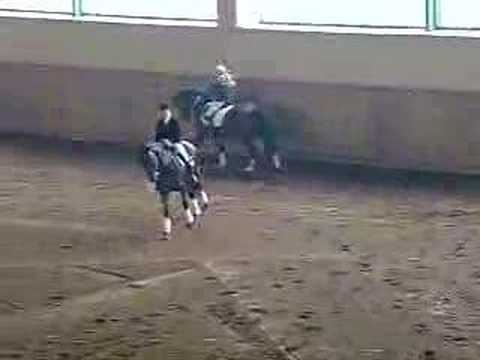 pegasusHB, Denar, Panicz