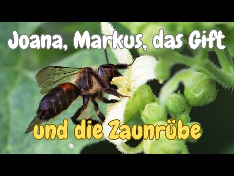 Joana, Markus Burkhard, das Gift und die Zaunrübe - Unboxing und Shopempfehlung