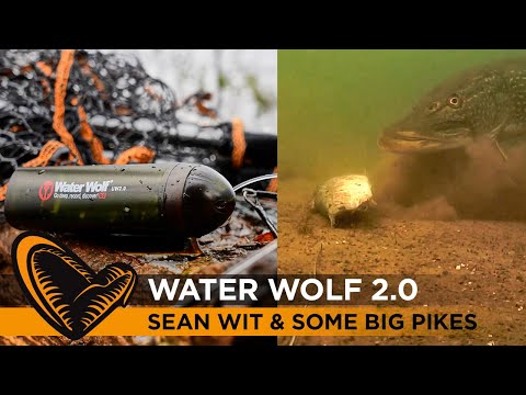 WATER WOLF - Kamera Pro 2.0 WiFi 2K