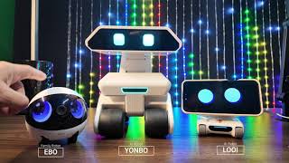 Yonbo Dec 2025 firmware update