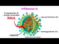 Influenza (The Flu)