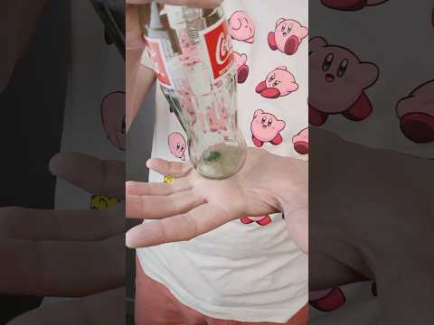 The Perfect Coin Through Bottle! #magic