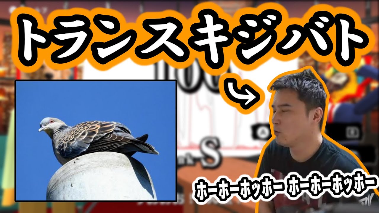 加藤純一のキジバト鳴きマネ発作集【6連発】