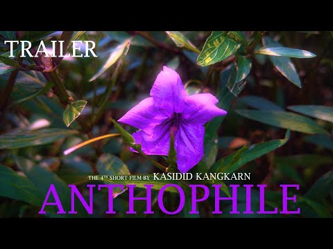 Anthophile