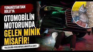  Yunanistan’dan Bolu’ya Otomobilin Motorunda Gelen Minik Misafir