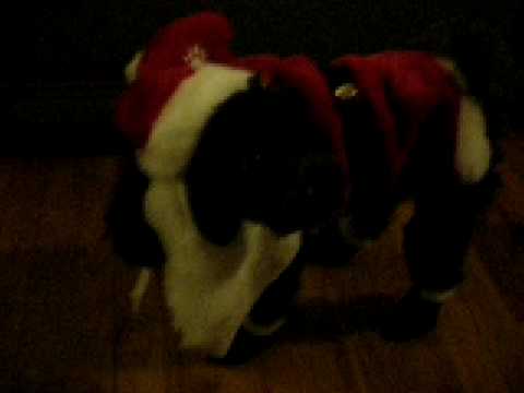 Tony the Santa Claus