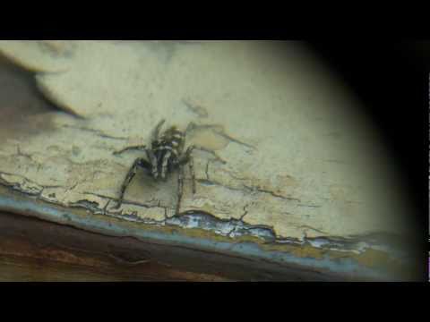 I was angry with my friend....