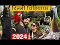 ❤️दिल्ली चिड़ियाघर me bhut maza aya | Delhi zoo |National Zoological Park | Delhi #Pra