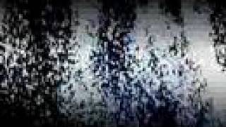 sweatyfish-Kings Of Leon-Velvet Snow