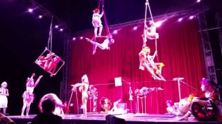 Amazing kids' circus viva fest 2017