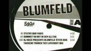 DJ Koze pres. Blumfeld vs. Steve Bug - Tausend Tränen tief / Loverboy remix.wmv