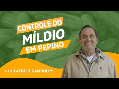 , title : 'CONTROLE DO MÍLDIO EM PEPINO'