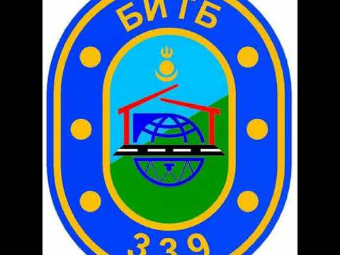 339 дүгээр анги БИТБ