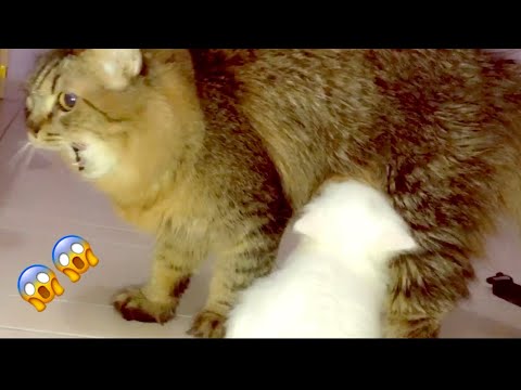 She Loves Him Soo Much 😍❤️😘🙊