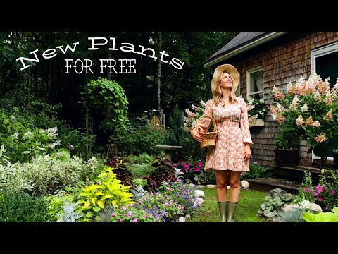 🌸 Building a Cottage Garden for Free!!! Summer Seed Spreading 🌸