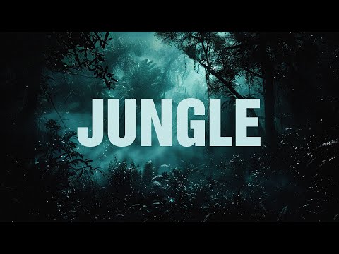 Vin Jay - Jungle (feat. Mike Bars)