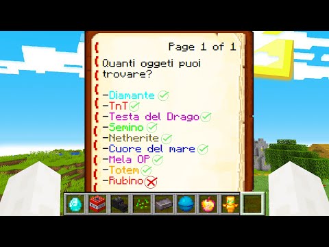 RIESCI A TROVARE TUTTI GLI OGGETTI SU MINECRAFT?