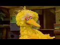 Classic Sesame Street Big Bird And Snuffy Find Ways To Be Friends