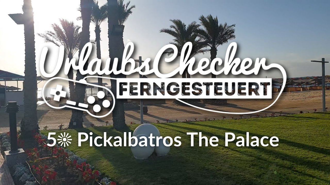 Video: 5* Pickalbatros Palace Port Ghalib