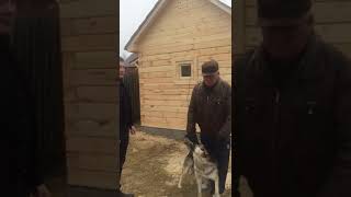 Превью видео