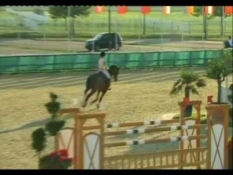 Katar Z - Miriam Schneider