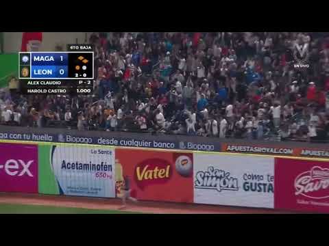 ¡EL JONRÓN QUE HIZO HISTORIA! 🦁 Harold Castro y el título de los Leones del Caracas